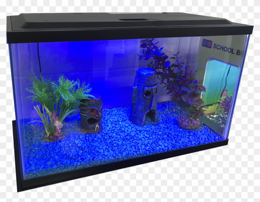 10 Gallon Fish Tank - Fish Tank Png Clipart #3970254