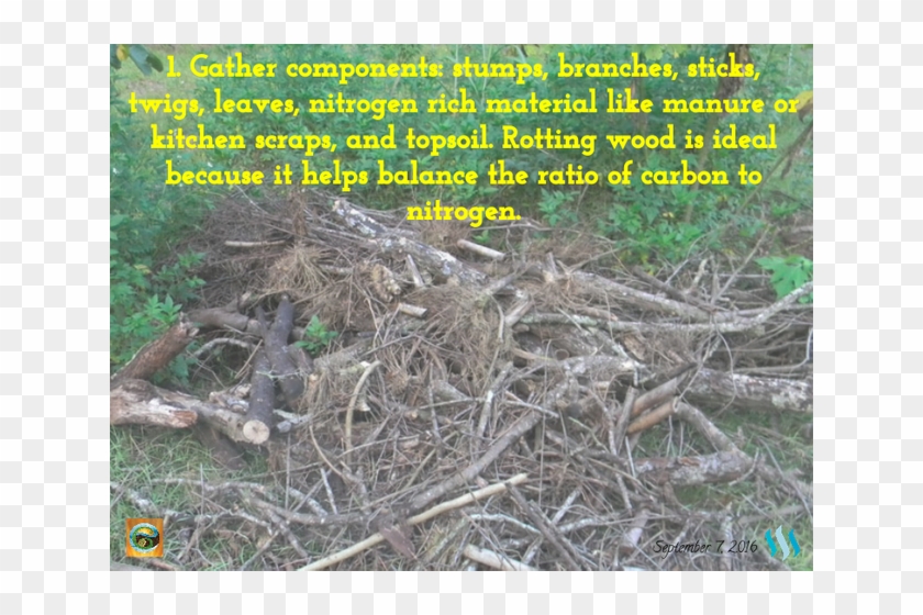 Here Are 4 Steps For How To Build A Hugel Mound - Root Clipart