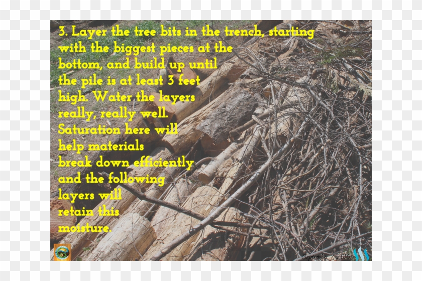 Your Hugel Mound Is Ready For Planting After A Few - Tree Clipart #3972214