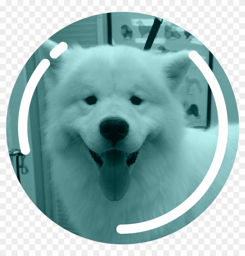 Smoochapooch Circle-01 Clipart