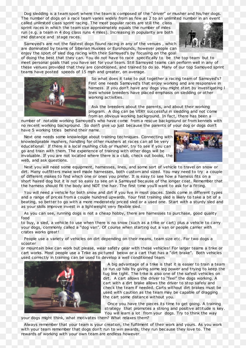 Northern Samoyed Society About The Samoyed Events And - Boating Clipart #3973684