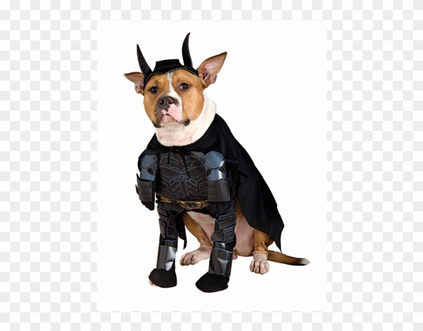 Dog In Batman Costume Costume Model Ideas - Superhero Dog Costume Clipart #3974280