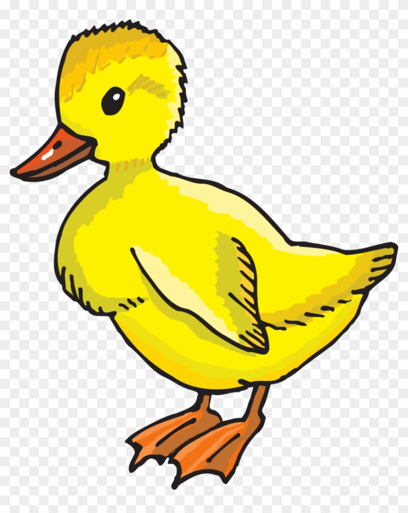Yellow Duckling - Yellow Duck Clip Art - Png Download #3975483