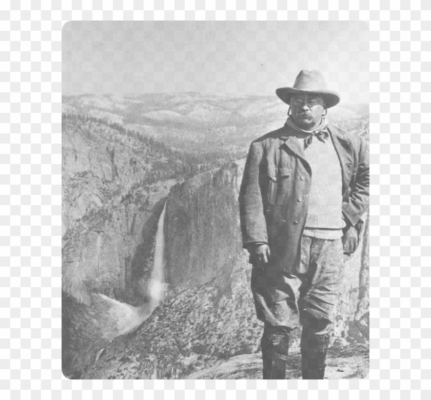 Teddy Teddy Icon - Naturalist Theodore Roosevelt Clipart