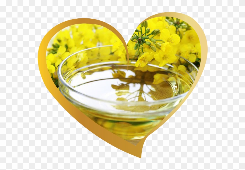 Low Erucic Acid Rapeseed Oil Clipart #3978435
