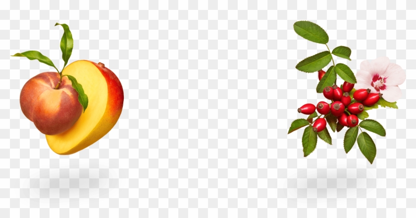 Natural - Buffaloberries Clipart #3980884