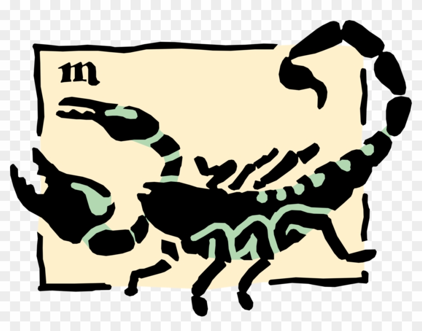 Vector Illustration Of Astrological Horoscope Astrology - Scorpio Clipart #3981830