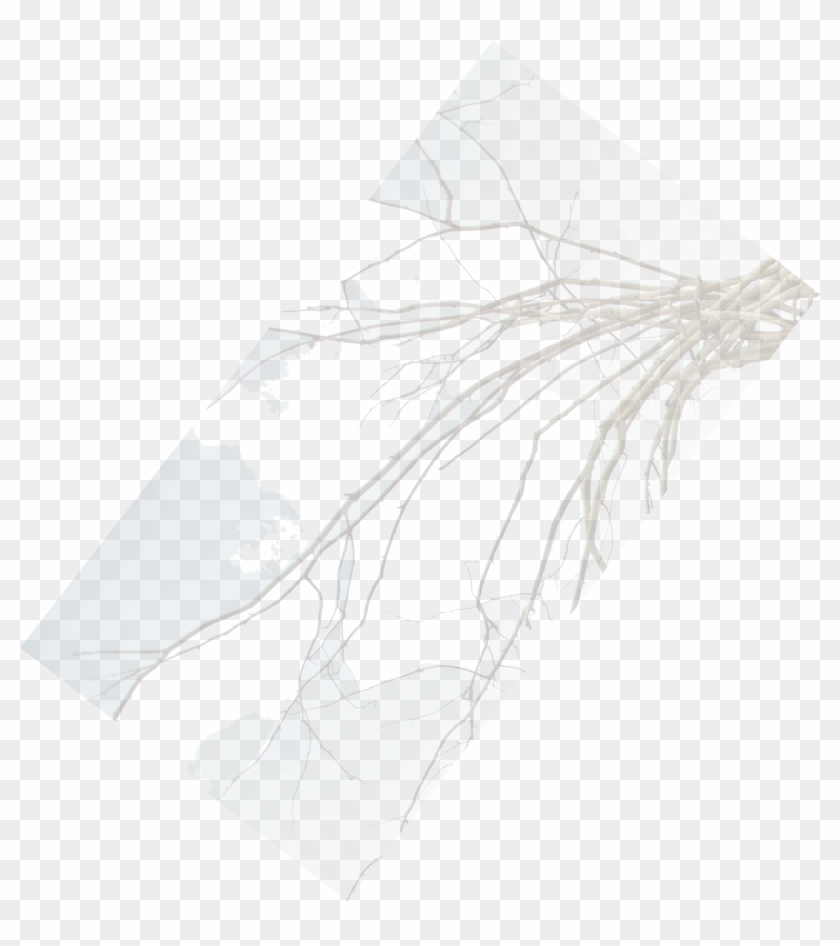 Invitation To Wander - Sketch Clipart