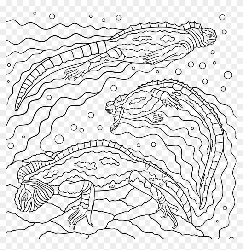 Reptile Coloring Pages - Line Art Clipart #3982344