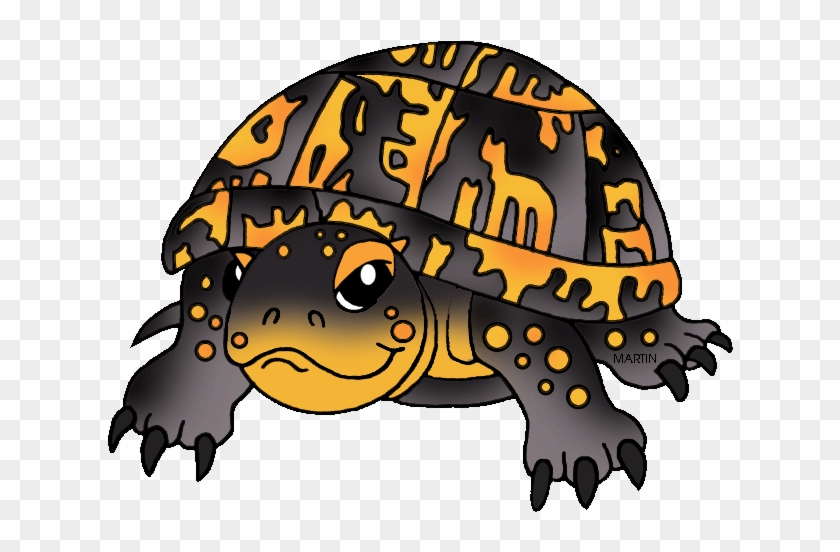 Reptile Clipart Turle - Box Turtle Clip Art - Png Download #3982731