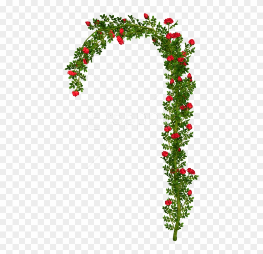 Free Png Rosebush Arch Elementpicture Png Images Transparent - Grapes Vine Arch Png Clipart
