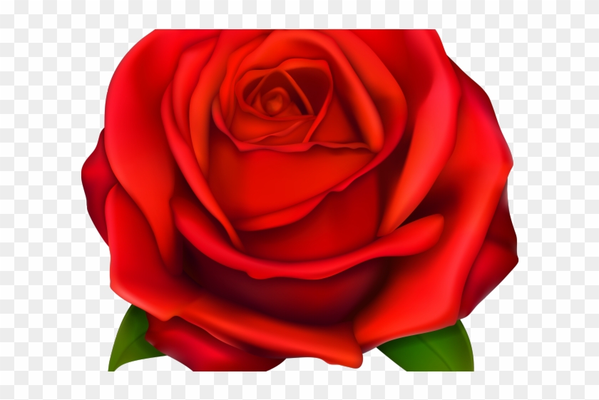 Rose Bush Clipart Transparent - Uae Mother's Day 2018 - Png Download #3983321