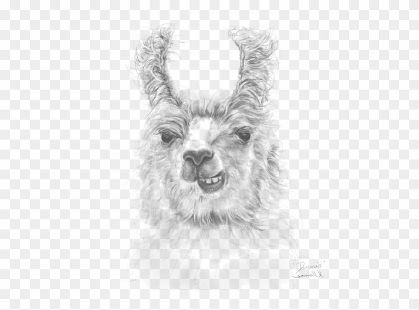 Bleed Area May Not Be Visible - Sketch Clipart