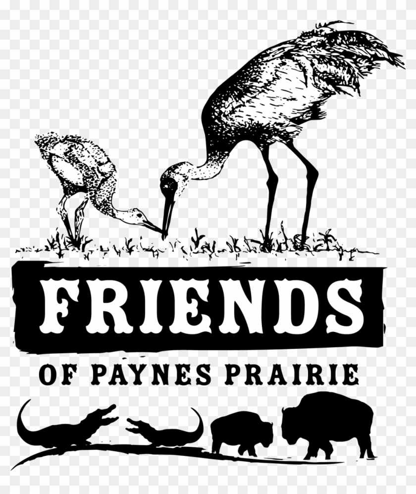 Alligator Clipart #3983381