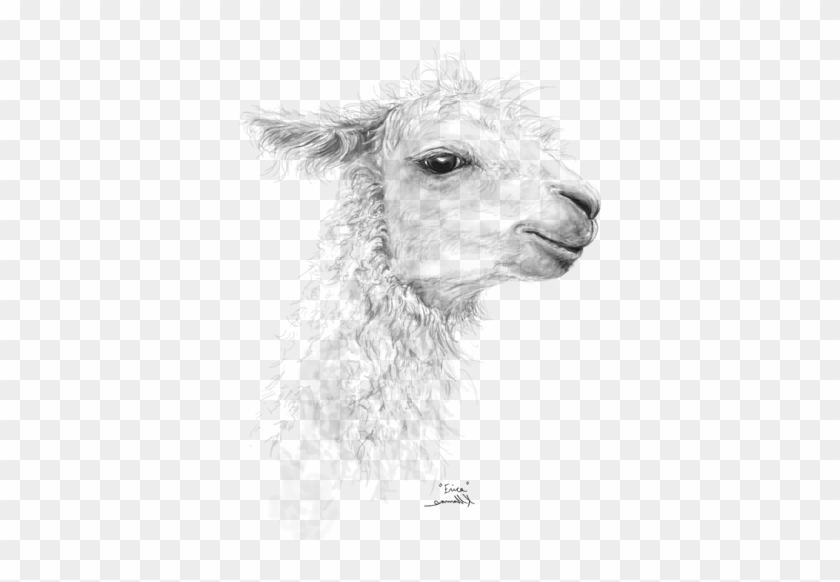 Bleed Area May Not Be Visible - Llama Clipart