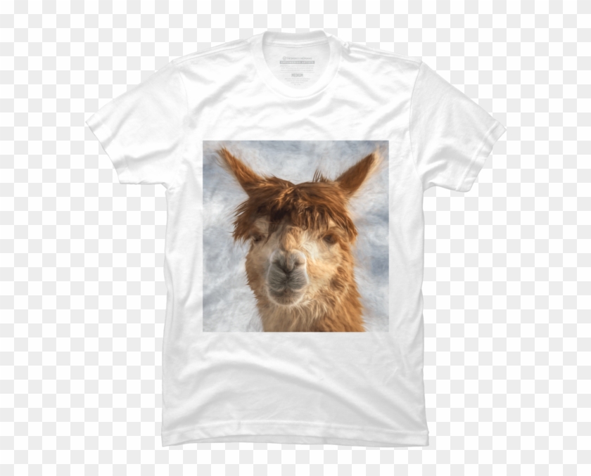 Alpacka - Donkey Clipart #3983681