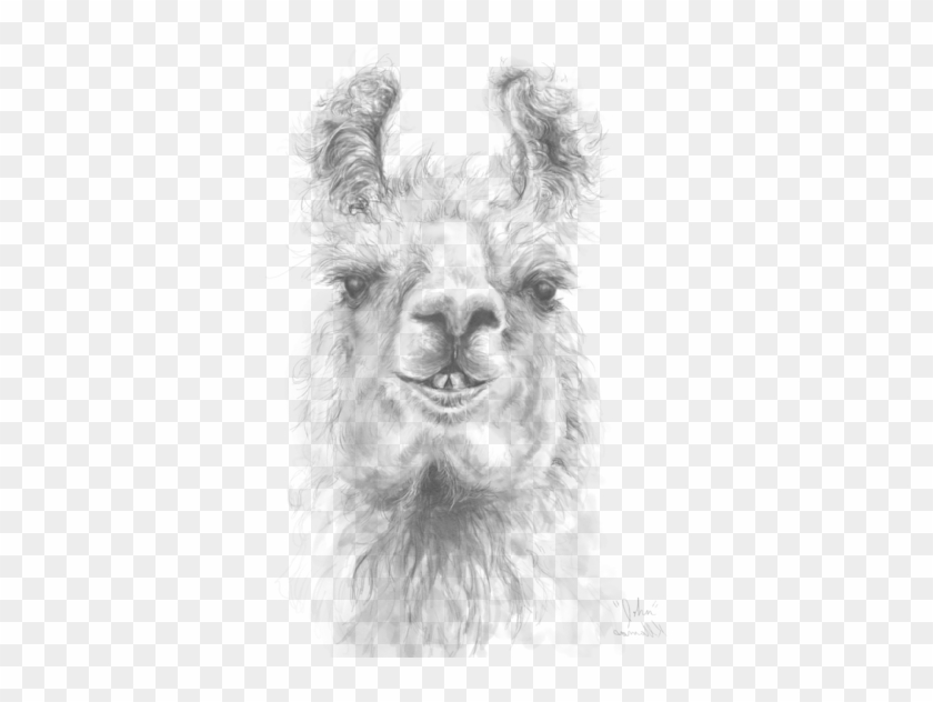 Bleed Area May Not Be Visible - Llama Clipart