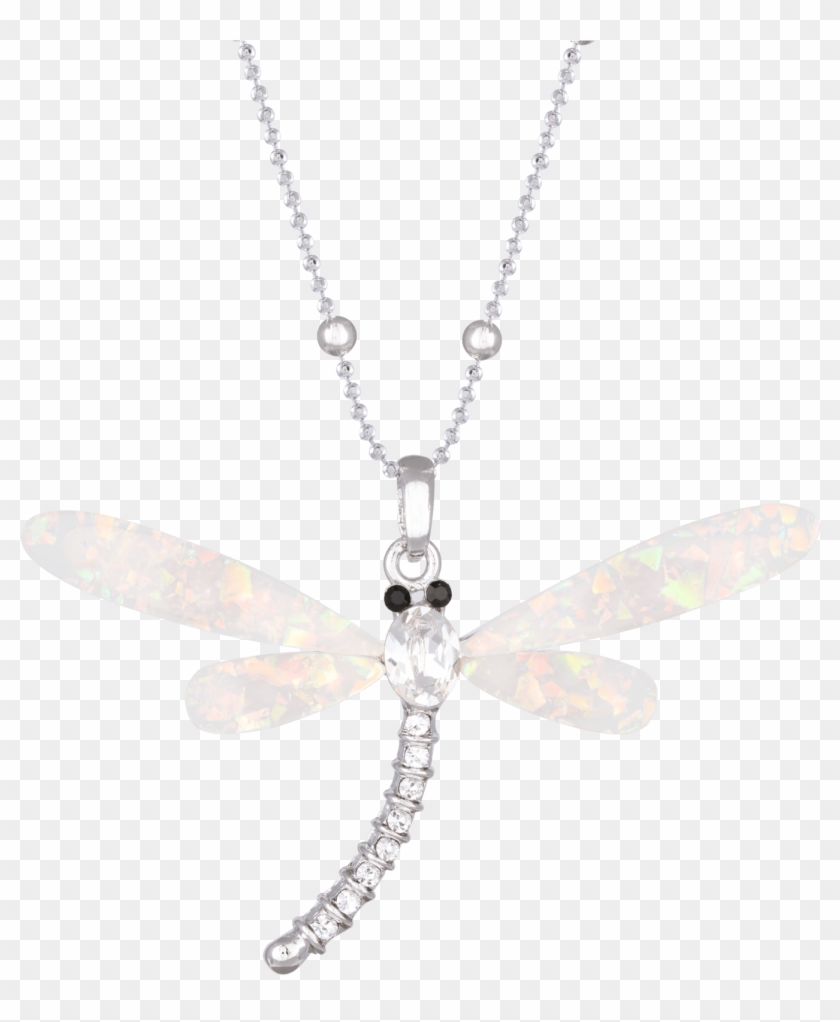 Pendant Dragonfly Opal Acrylic Wings White - Necklace Clipart