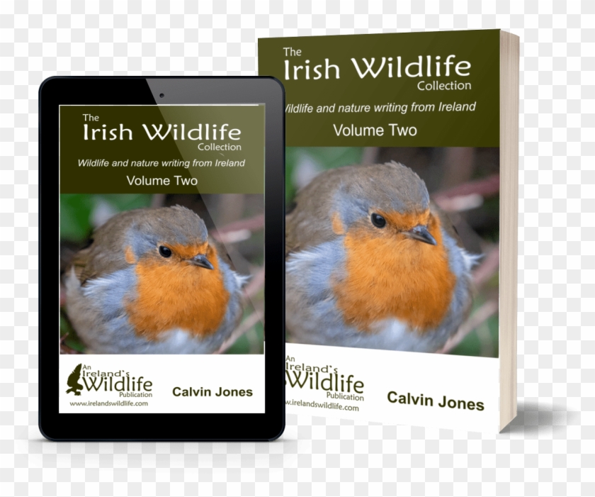 Irish Wildlife Books By Ireland's Wildlife - European Robin Clipart #3985672