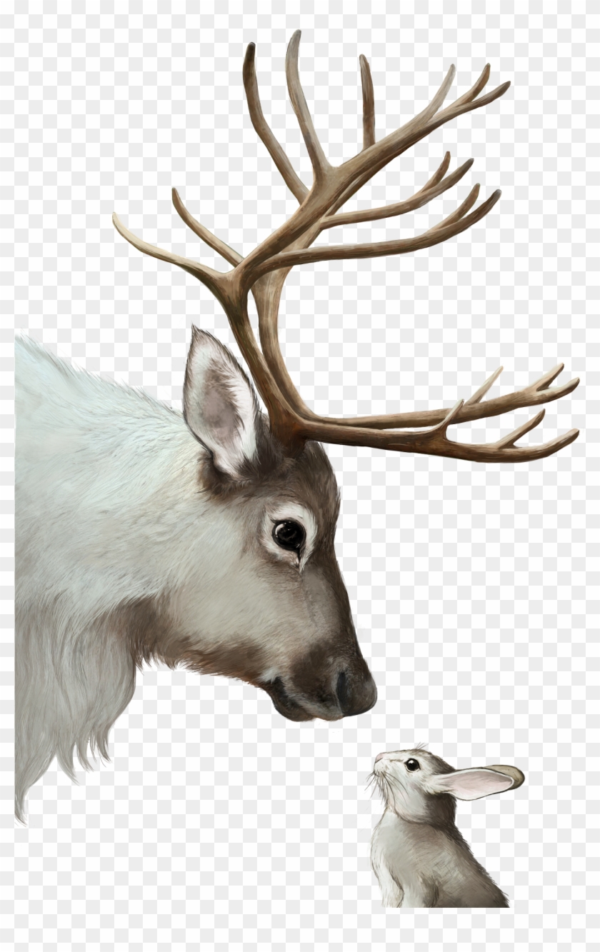 #reindeer Meets #rabbit Clipart #3989872
