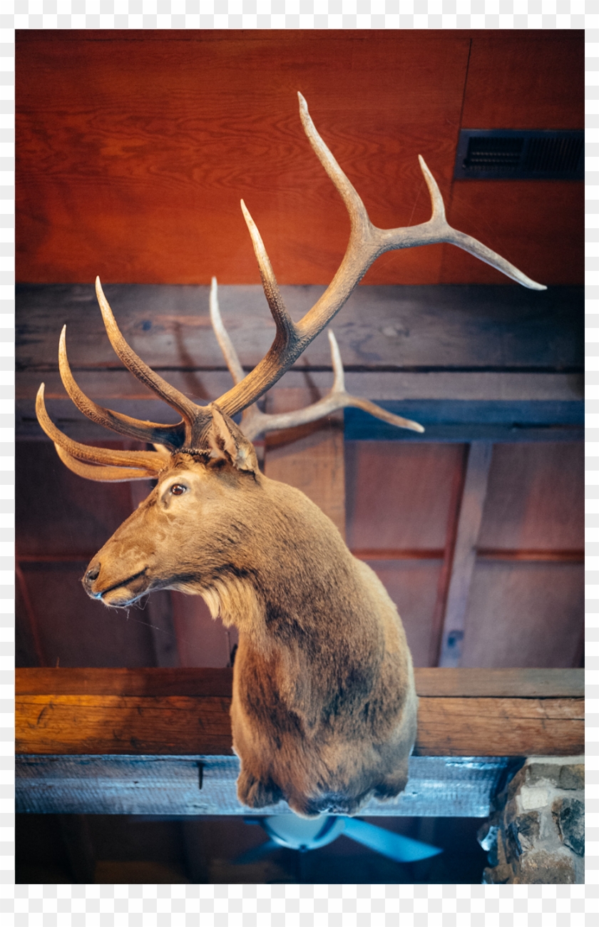 Nevada Highway 50 Mtb Road Trip Clipart #3990282