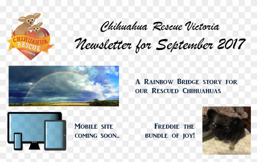 Dif Estatal Chihuahua Clipart