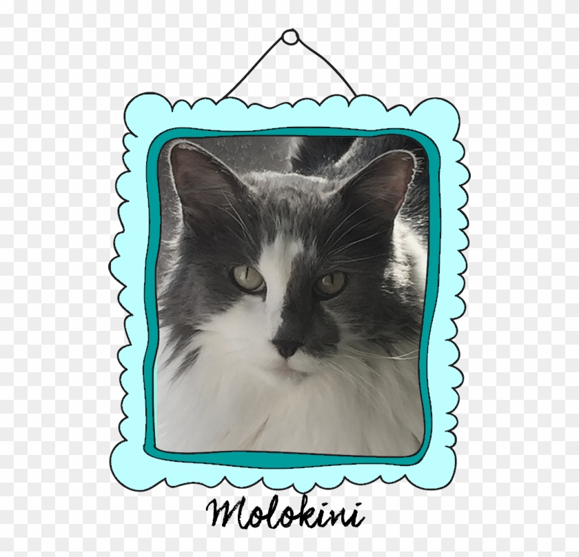 Snowshoe Clipart #3992389