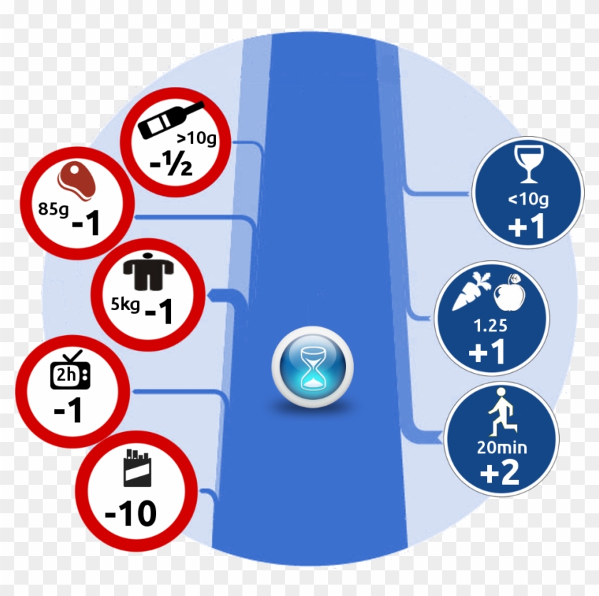 Longevity Camp Infographic - Micromorts Calculator Clipart