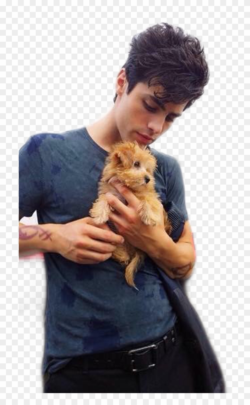 34 Images About Shadowhunters ➰ On We Heart It - Matthew Daddario Cute Clipart #3993255