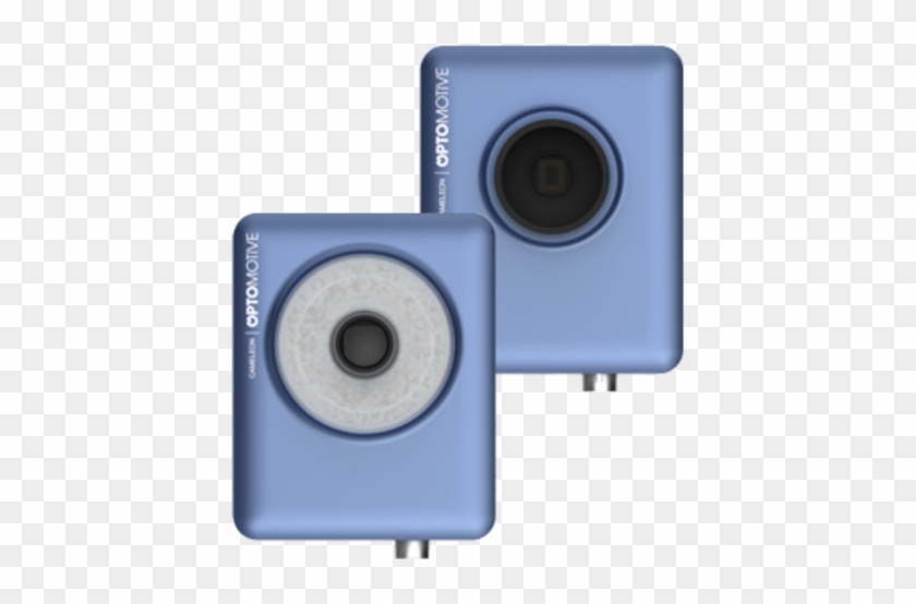 Cameleon Baseboard - Digital Camera Clipart