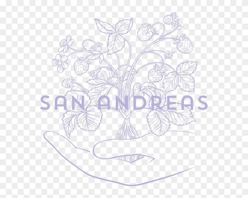 San Andreas Ion Product - Sketch Clipart #3994822