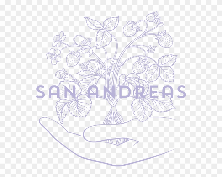 San Andreas Ion Product - Sketch Clipart
