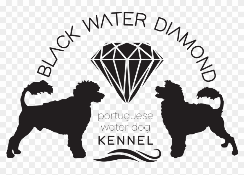 Portuguese Water Dog Kennel - Companion Dog Clipart #3995689