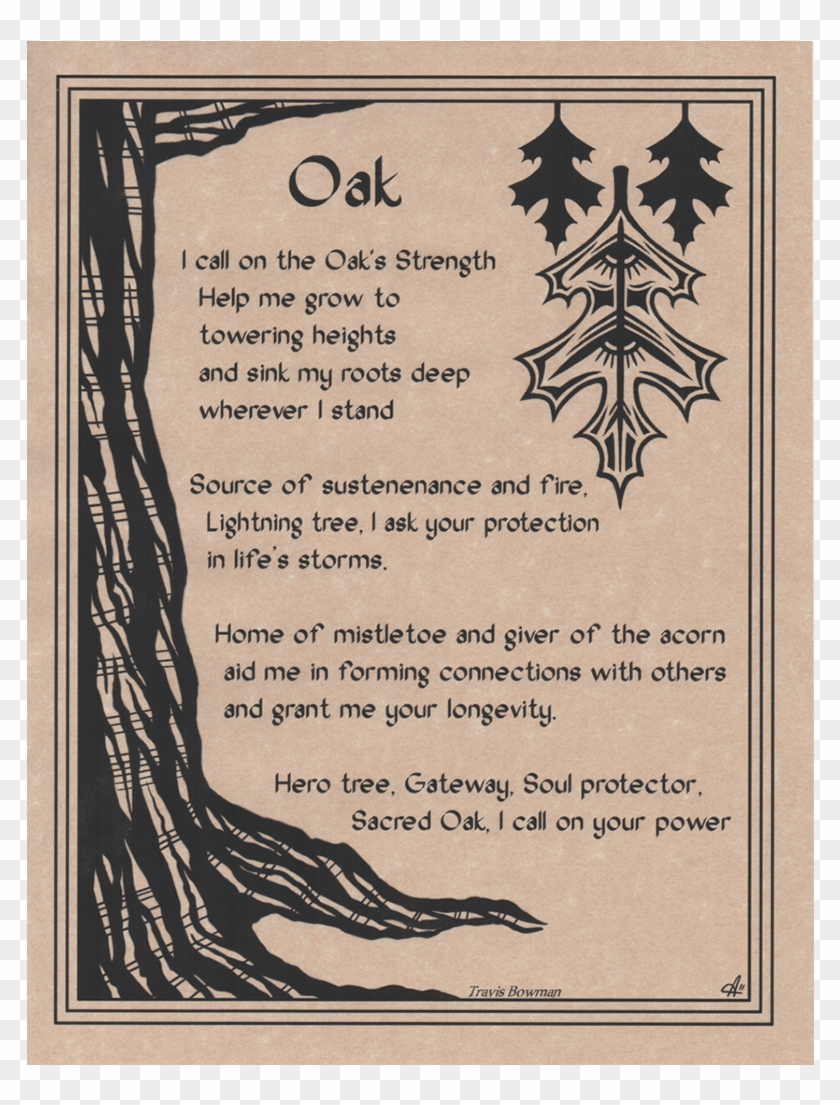 Oak Prayer Parchment Poster - Post Oak Tree Magical Properties Clipart