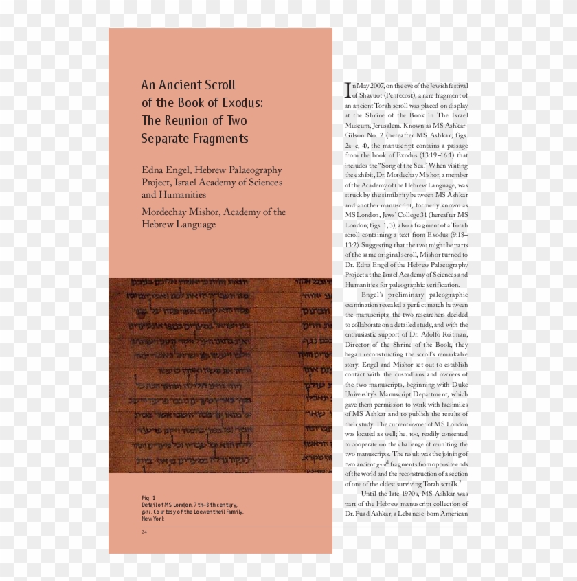 Pdf - Brochure Clipart