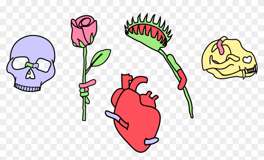 A Drawing Of A Skull, A Rose, A Heart, A Venus Fly Clipart