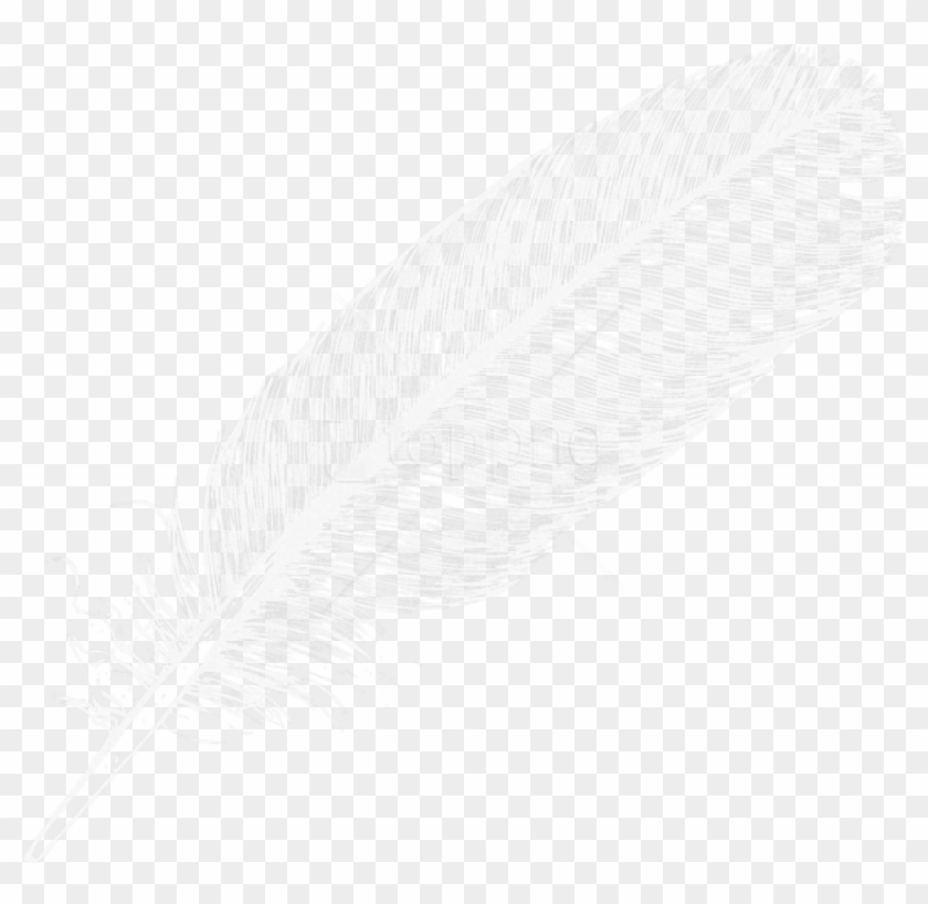 Free Png Download Large White Transparent Feather Clipart - White Feather Transparent Background #3996711
