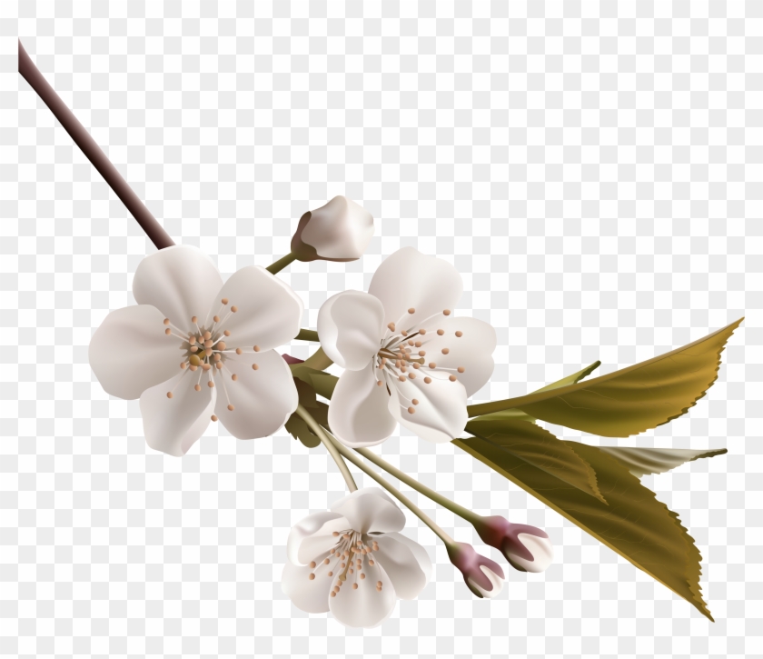 Tree Branch Png Clipart - Deepest Condolences To The Family Transparent Png