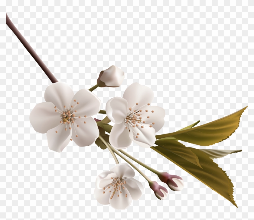 Tree Branch Png Clipart - Deepest Condolences To The Family Transparent Png #3996855