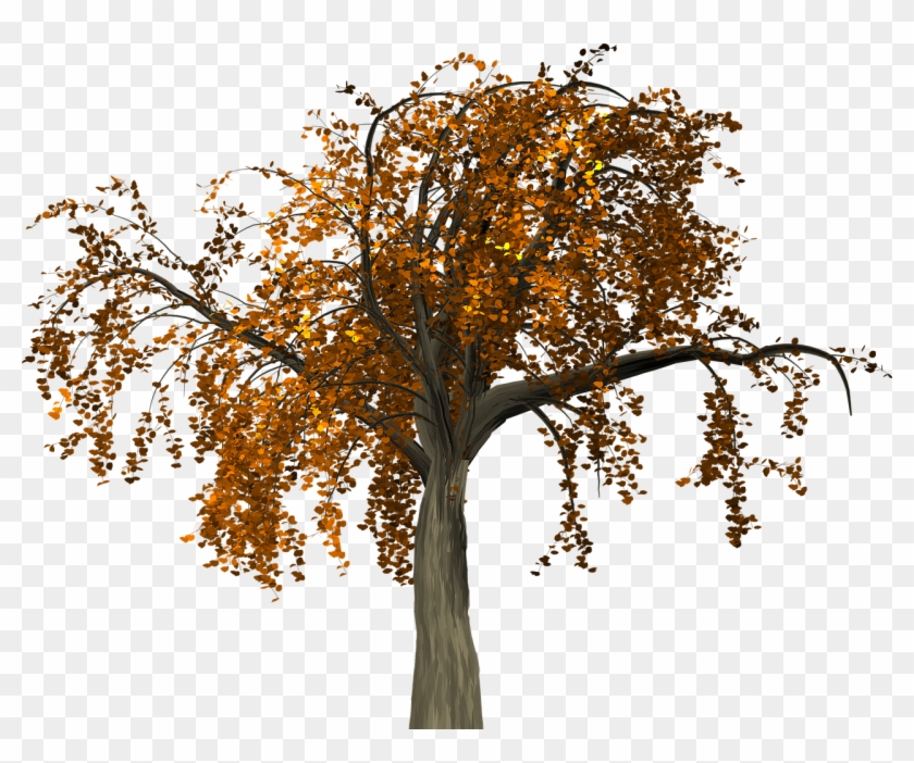 Autumn Tree Branch Free Clipart Hd Clipart - Arvore No Outono Em Png Transparent Png #3996966