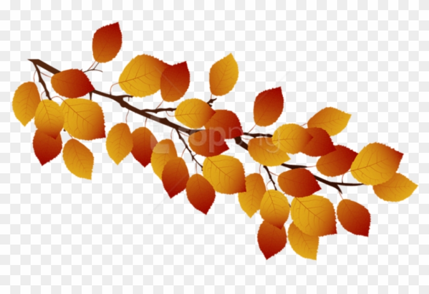 Free Png Download Autumn Branch Clipart Png Photo Png - Transparent Autumn Branch Clipart #3997050