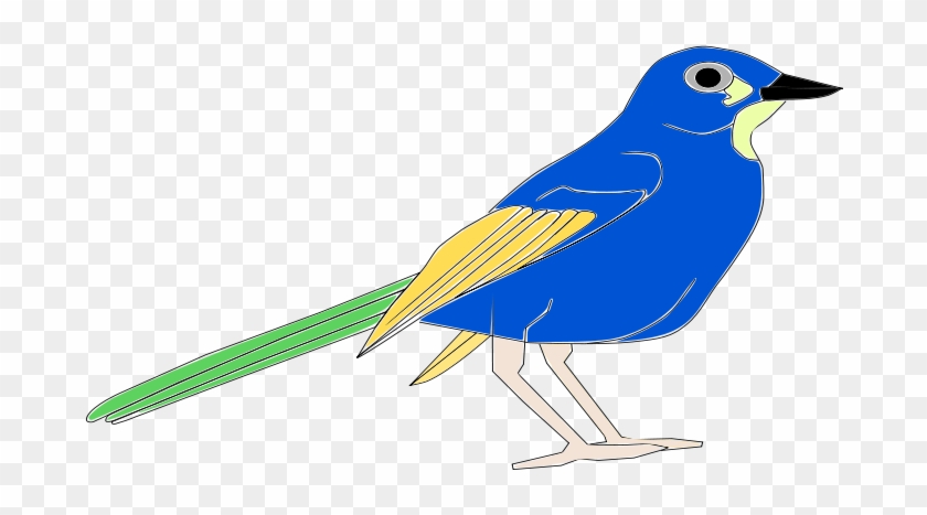 Clipart Info - Pajaro Clipart - Png Download #3997723