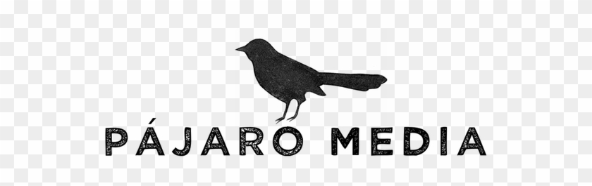 Pm Logo 02 Png - Blackbird Clipart