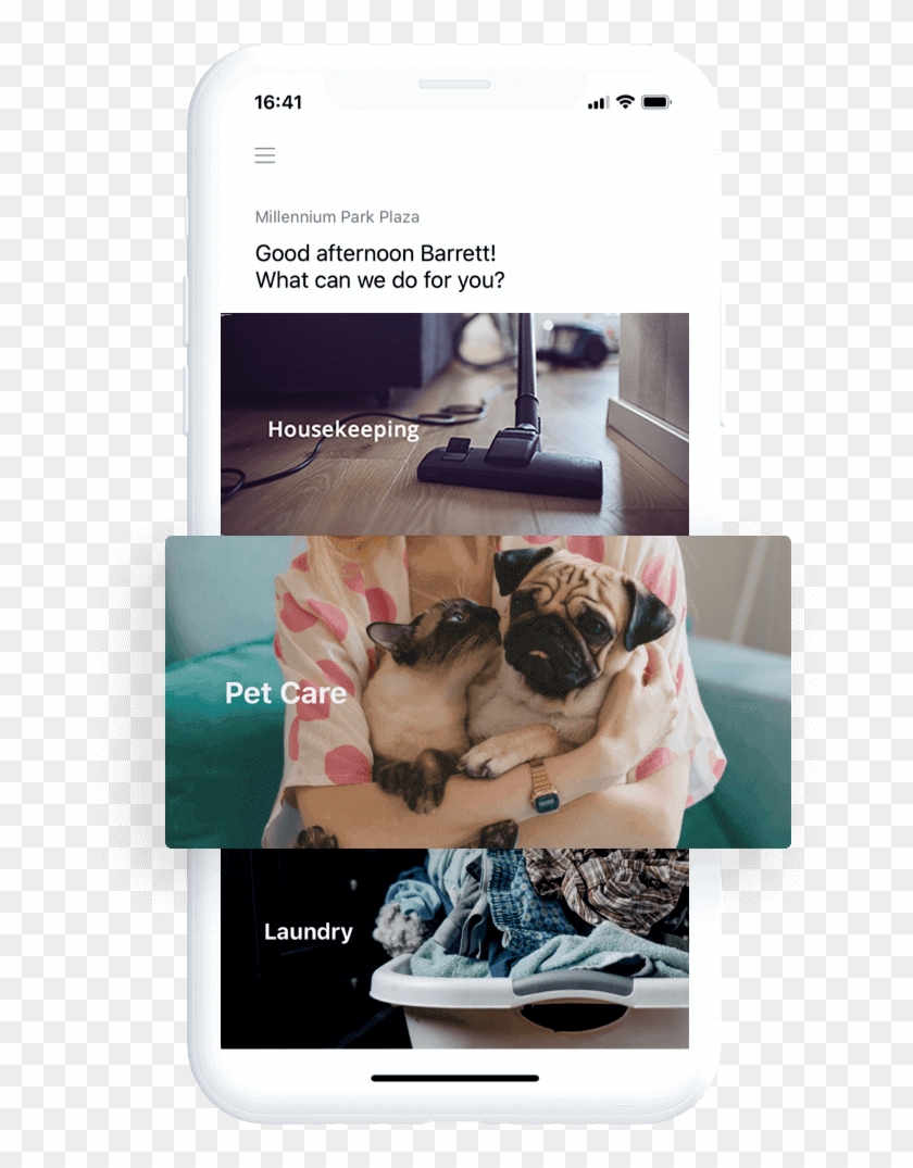 Have A Bird, Goldfish Or Another Pet That Needs Attention - Woman Holding Cat And Dog Clipart #3997859