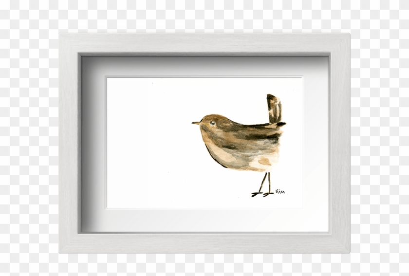 Acuarela Rafael El Pájaro Chochín Con Marco - Duck Clipart