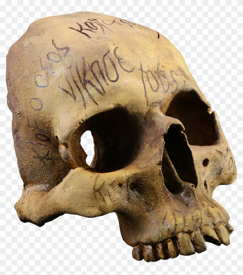 #pennydreadful #auction #halloween #spooky #horror - Skull Clipart #3999553