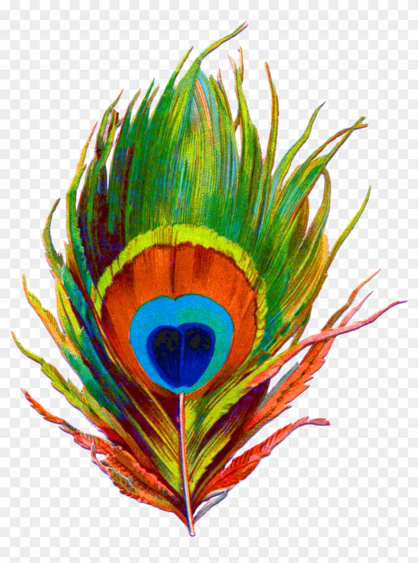 Peacock Feather Png Designs - Krishna Peacock Feather Png Clipart