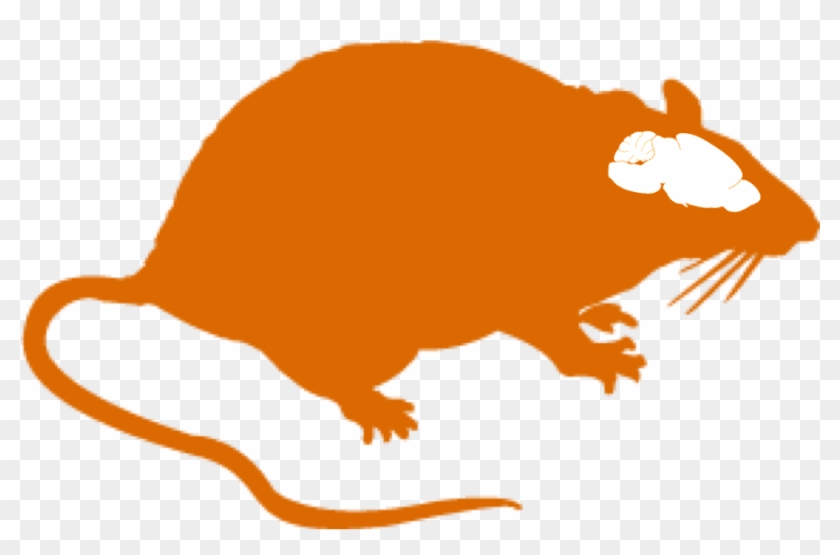 Rat Brain Clipart - Silhouette Of Rat - Png Download