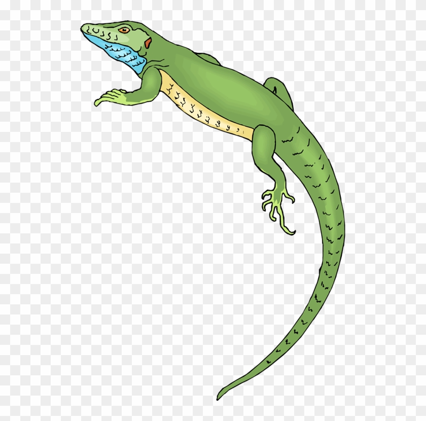 Horned Lizard Png Free Download - Lizard Clipart Png Transparent Png