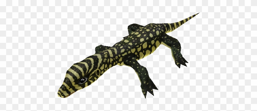 Monitor Lizard Png - Whiptail Clipart